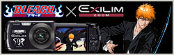 BLEACH