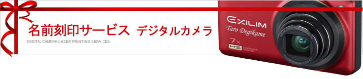 �f�W�^���J����