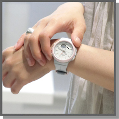 BGS-100SC-2AJF